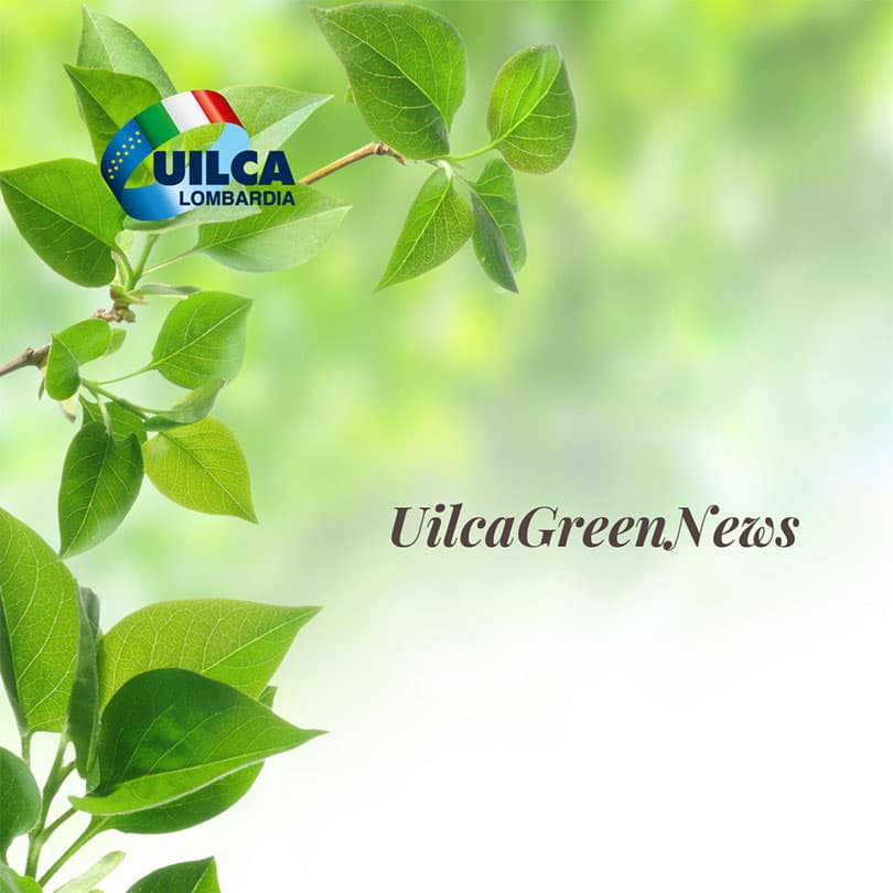 Uilca Green News